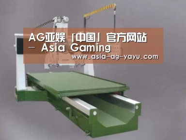 产品名称十