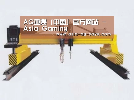 产品名称十八