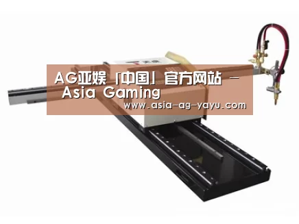 案例展示一