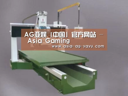 产品名称十