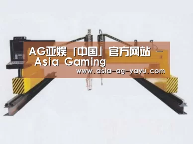 产品名称十九