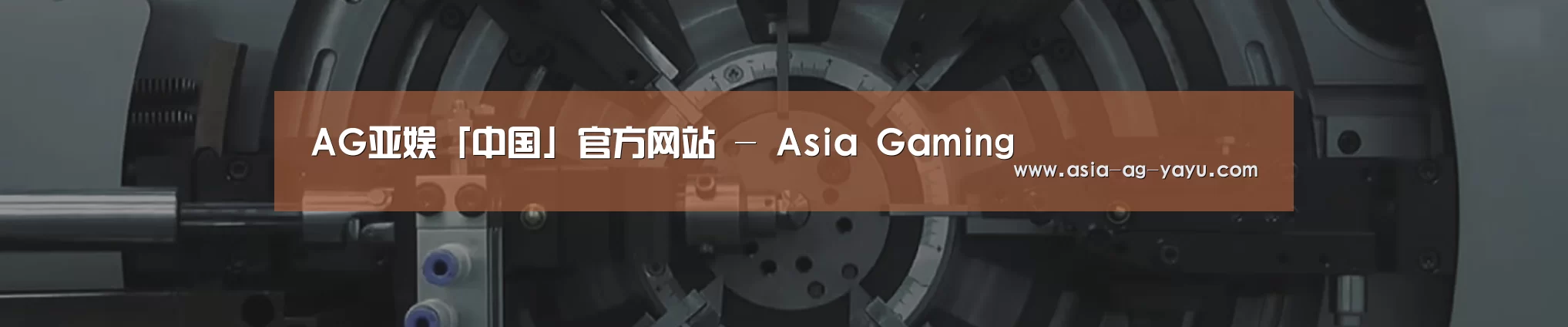 某某机械公司