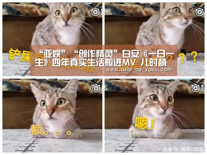 亚娱